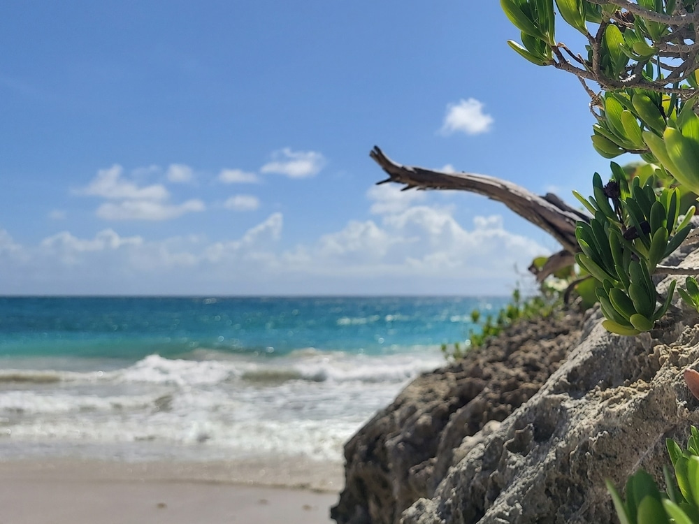 Beaches Of Vieques Pr In Autumn